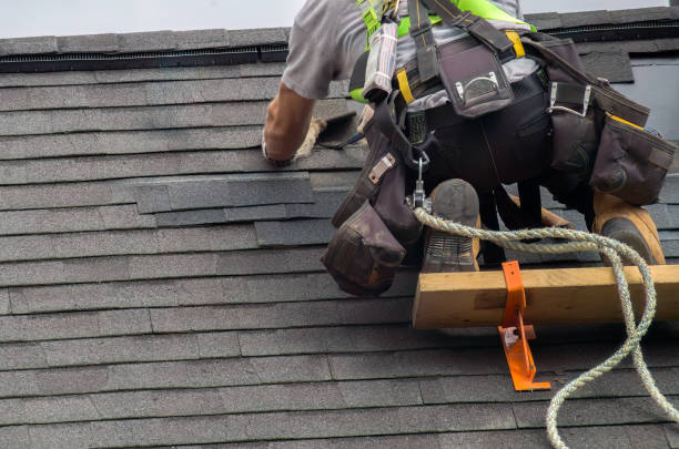 Professional Roofing Contractor in Berthoud, CO