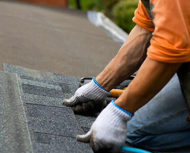 Best Roof Leak Repair  in Berthoud, CO